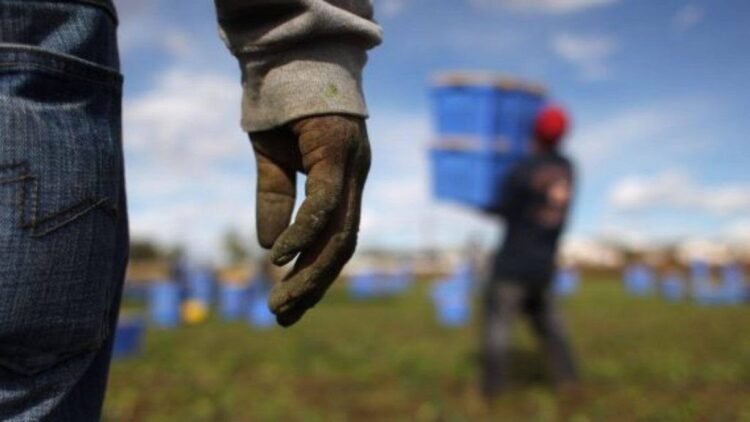 La regolarizzazione dello sfruttamento