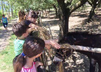 Agricoltura sociale. Filiera strategica anche nel dopo emergenza.
