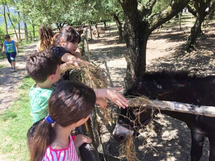 Agricoltura sociale. Filiera strategica anche nel dopo emergenza.