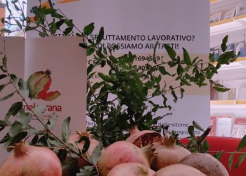Giornata inclusiva: il Centro Melagrana messo a nuovo dagli utenti