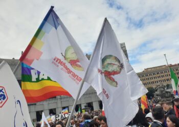 Grande successo della marcia per la Pace