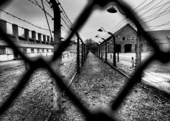 L’importanza della Memoria per l’umanità