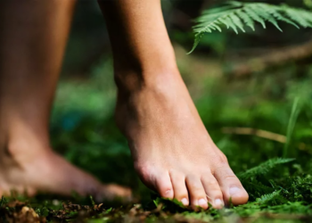 Il suolo, un tesoro sotto i nostri piedi