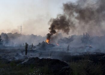 Rispettare la sentenza CEDU su Terra dei Fuochi