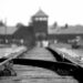 Giorno della Memoria: ricordare e riflettere sull’oggi