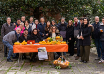 Lettera aperta dei genitori di ragazzi autistici e disabili dell’Associazione Melagrana: “Assicurare continuità ai Progetti Terapeutici Riabilitativi Individualizzati”